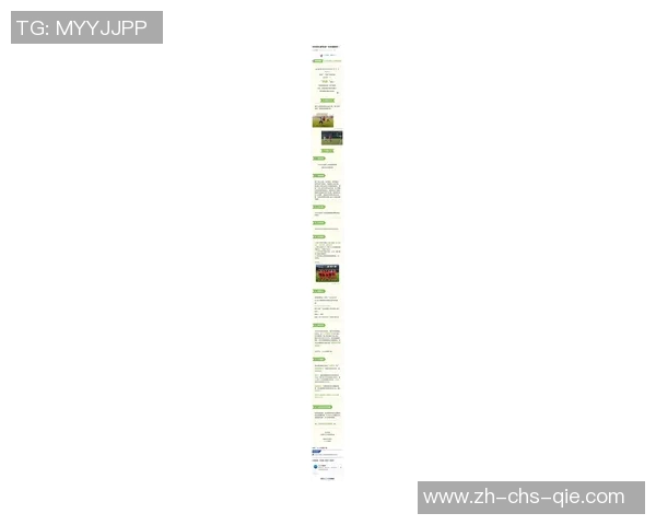 中国足球微博热议新赛季展望球迷期待球队崛起与年轻球员成长